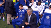 Chelsea What GIF by MolaTV