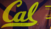 calathletics sports sport college california GIF