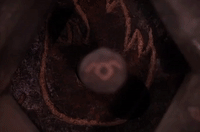 season 2 GIF by Twin Peaks on Showtime