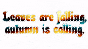 Fall Autumn GIF