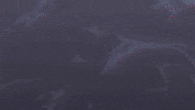 Looking Up Pokemon Anime GIF by Pokémon