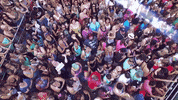 Season 2 90S GIF by Rock This Boat: New Kids On The Block