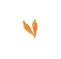lisachiuqq food illustration carrot vegetable Sticker