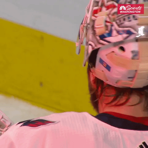 goal nhl GIF