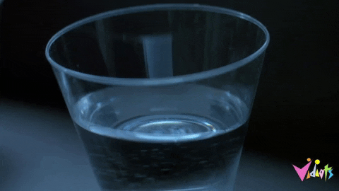 GIF by Vidiots