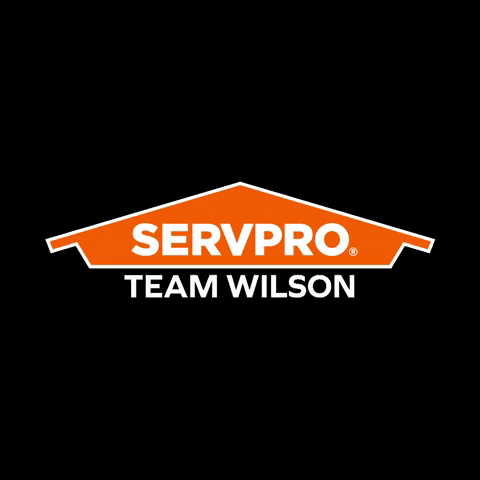 SP_TeamWilson giphyupload wilson servpro team wilson GIF