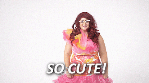 famoussharron giphyupload cute comedy adorable GIF