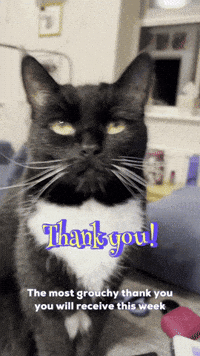 Black Cat Thank You GIF