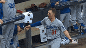 pederson GIF by MLB