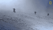 Nat Geo Explorer GIF by National Geographic Channel