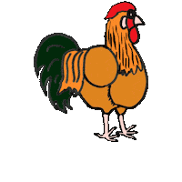 Chicken Rancho Sticker