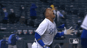 Kc Royals Baseball GIF by MLB