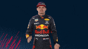 Ver Red Bull GIF by Red Bull Racing Honda