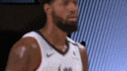 Nba Playoffs No GIF by NBA