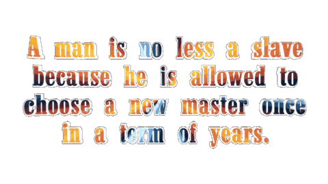 Politics Punk Sticker