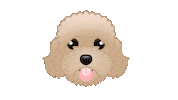 Toy Poodle Dog Sticker by zoopeez