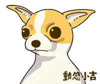 Animation Dog GIF