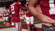 College Football Dancing GIF by Arkansas Razorbacks
