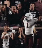 Mississippi State Msu GIF