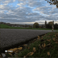 Fast Car Motorsport GIF by FIA World Rally Championship