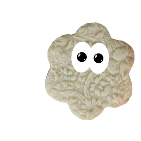 Cookie Sticker by TICUS