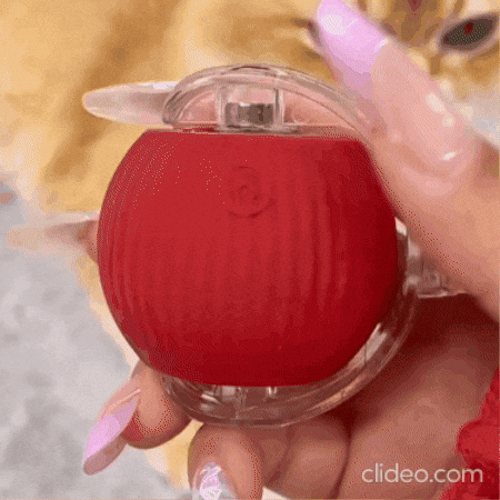 NUAEA giphygifmaker GIF