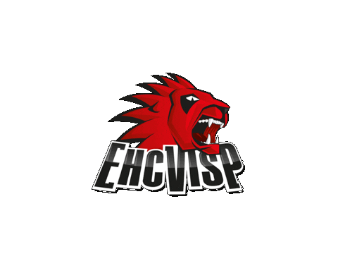 EHCVisp giphyupload eishockey ehcvisp ehc visp Sticker