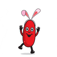 Easter Bunny GIF by KidneyHealthAust