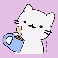 White Cat Wtf GIF
