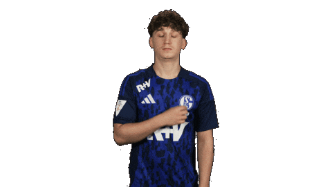 Schalke 04 Football Sticker by Bundesliga