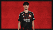 Eintracht Frankfurt Applause GIF by Bundesliga
