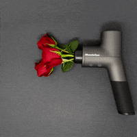 Valentines Day Massage GIF by MuscleGun