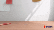 Biteable celebrate winner trophy award GIF
