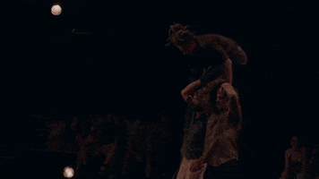 Acrobatics GIF by MagdaClan circo