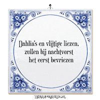 Winter Nl Sticker by Tegelspreuken.nl