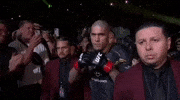 Mixed Martial Arts Sport GIF by UFC