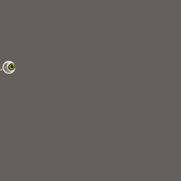 Eye Looking Around GIF by Janerevae