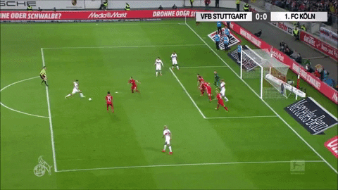 football save GIF by 1. FC Köln
