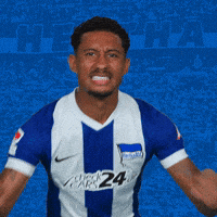 Germany Soccer GIF by Hertha BSC