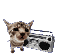 Boombox Dancing Cat Sticker