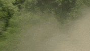 redbullracing france 2019 f1 french GIF