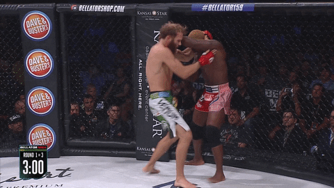 knock out mma GIF by Bellator