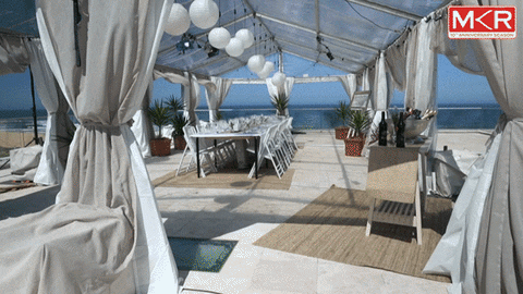 vacation table GIF by My Kitchen Rules
