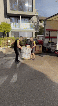 GIF by Froehliche Umzuege