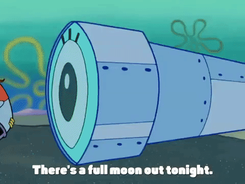 season 4 GIF by SpongeBob SquarePants