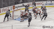 Celebrate Ice Hockey GIF by NHL
