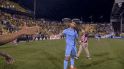 mls GIF by NYCFC