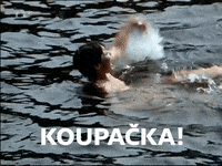 ceska_televize dada ceskatelevize czechtv noc GIF