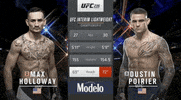 ufc sports sport ufc mma GIF
