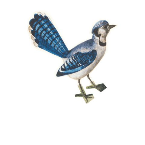 We_Encourage giphyupload Sticker